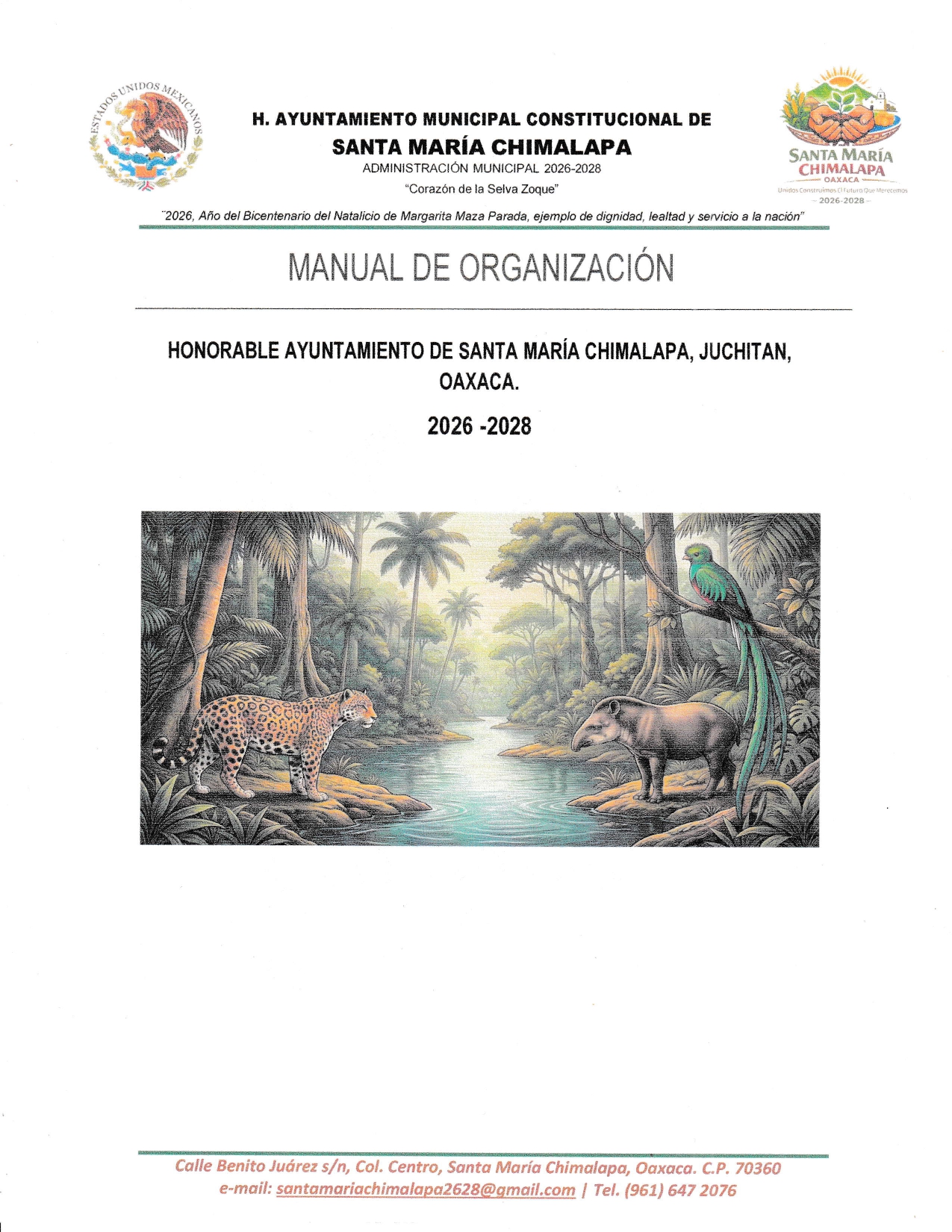 MANUAL DE ORGANIZACION 2026
