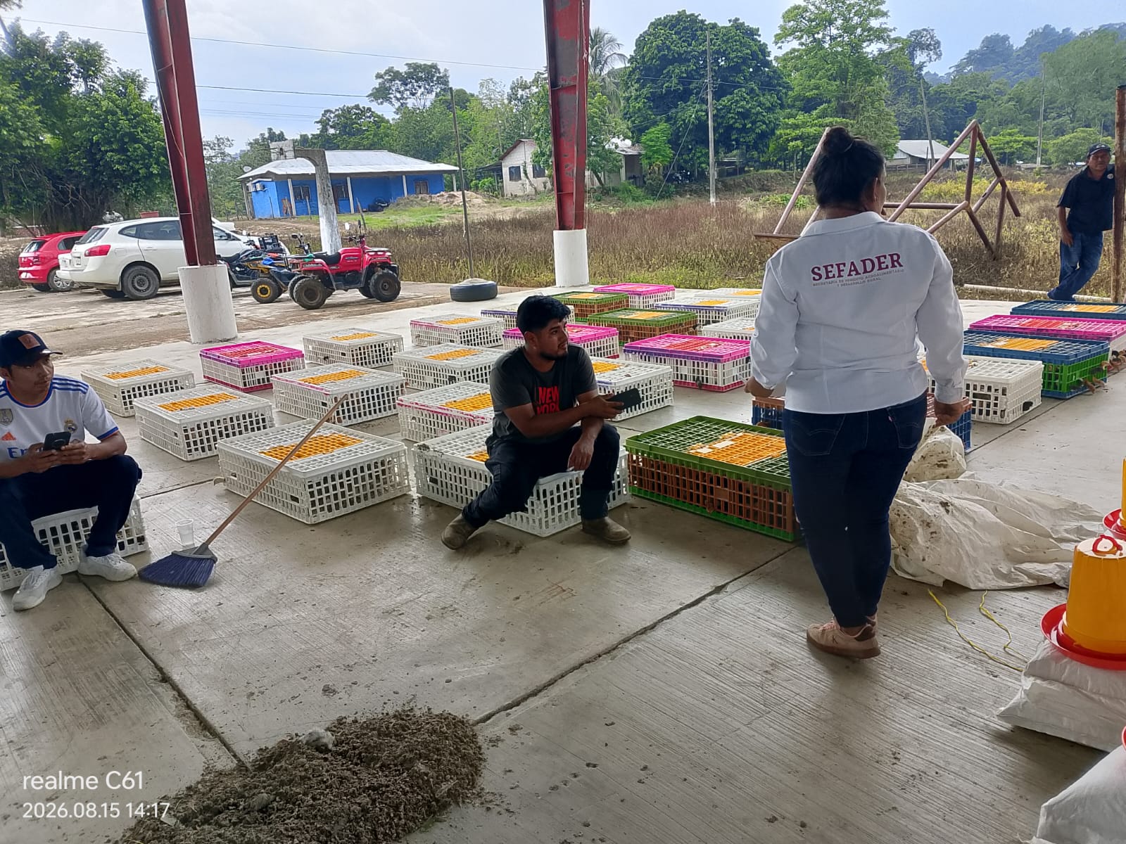 PROYECTO DE AVES. ENTREGA DE POLLOS EN LA COMUNIDAD DE SAN FRANCISCO LA PAZ