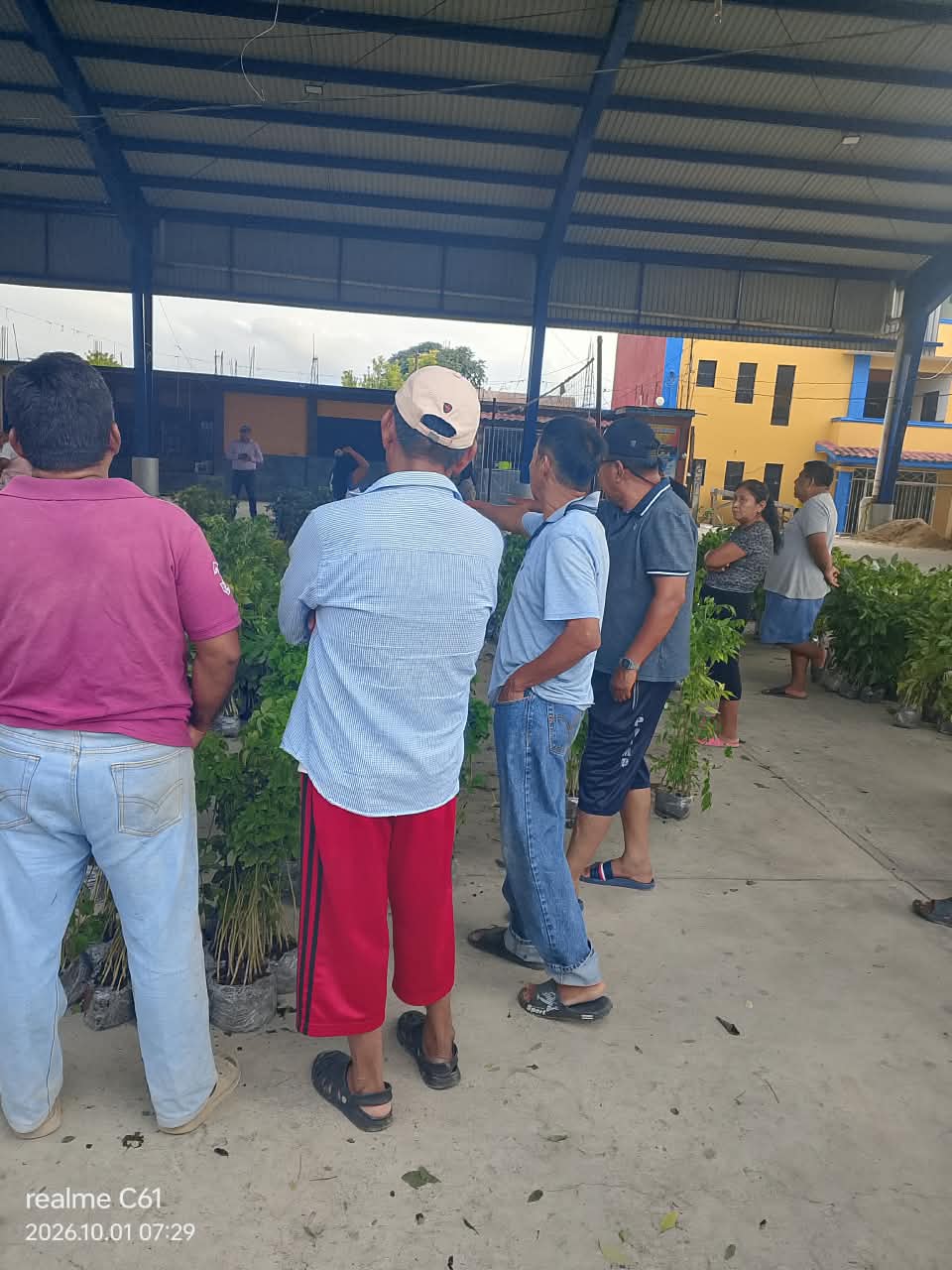 ENTREGA DE PLANTAS A SEMBRANDO VIDA
